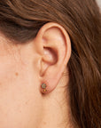 Helix Via col vento