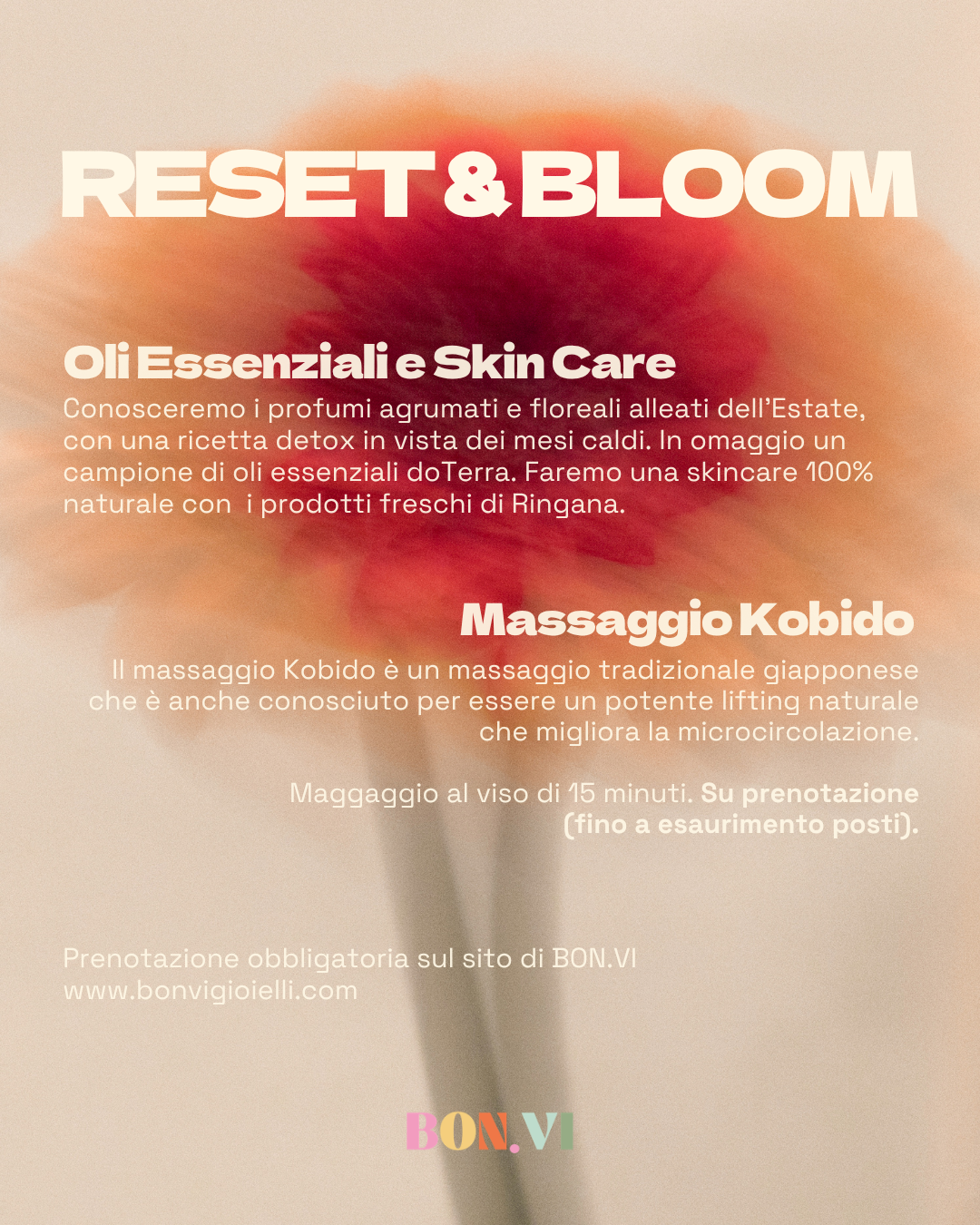 Reset &amp; Bloom